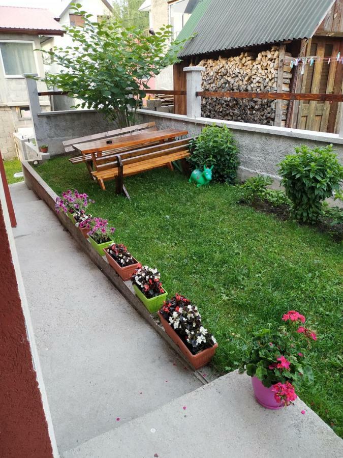 זבליאק Apartments Bozovic מראה חיצוני תמונה