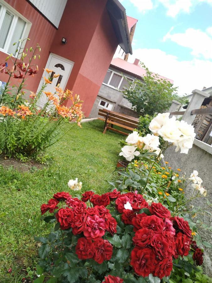 זבליאק Apartments Bozovic מראה חיצוני תמונה