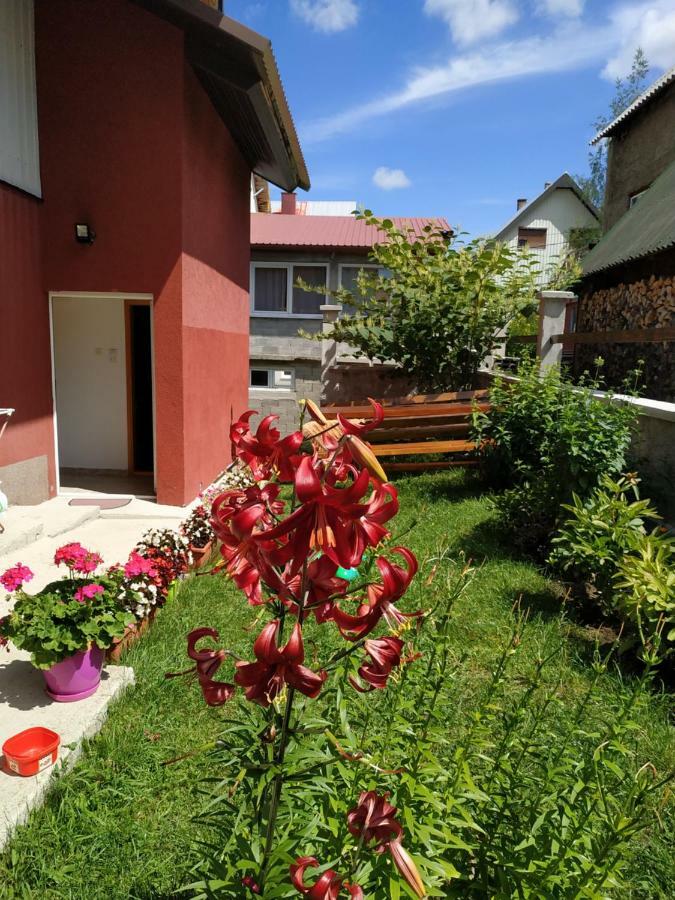 זבליאק Apartments Bozovic מראה חיצוני תמונה