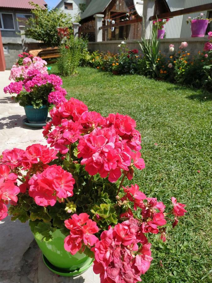 זבליאק Apartments Bozovic מראה חיצוני תמונה